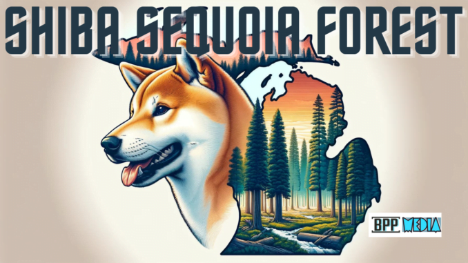 Shiba Sequoia Forest