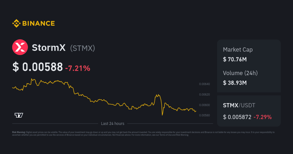 $STMX Has Grown Nearly 5x: What’s Next for This Rising Star?