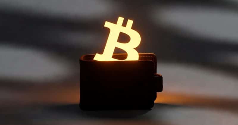 ac9f5be3-dc4f-45f8-8187-91c383524261-800x420.jpg